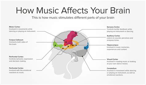 what is live music and how does it influence our emotions?